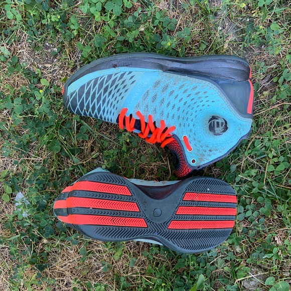 Children’s Derek Roses - Picture 3 of 4